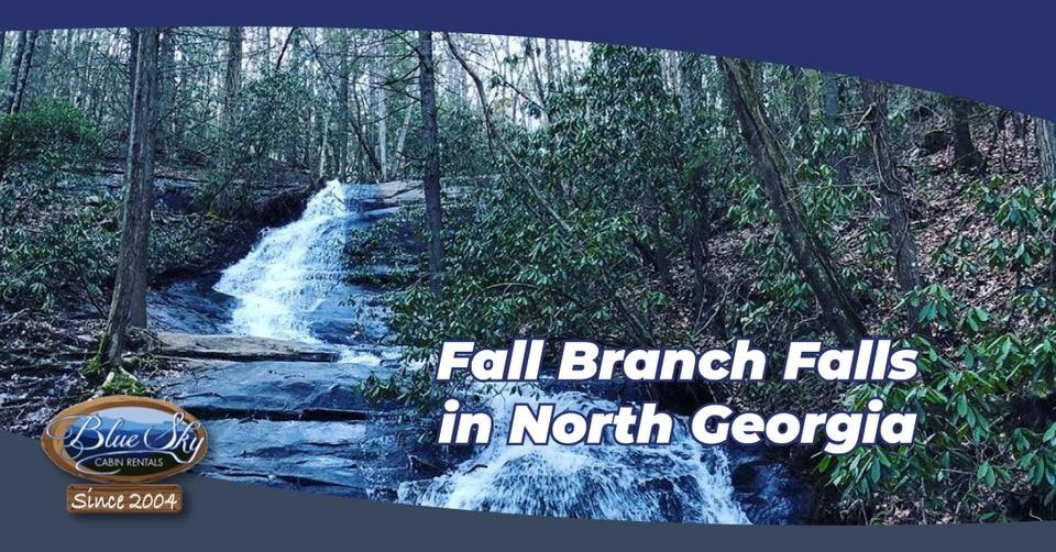 Fall Branch Falls in North Guide Blue Sky Cabin Rentals